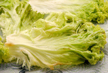 Similar image 659432