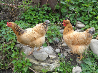 Similar image 659433