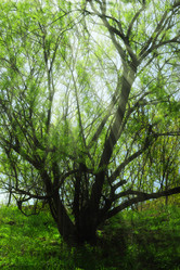 Similar image 659436