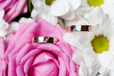 Similar image 659455