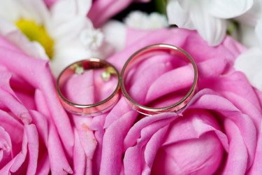 Similar image 659456