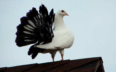 Similar image 659502