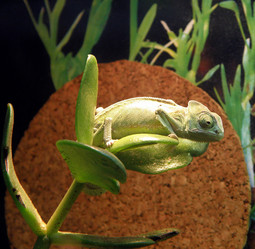 Similar image 659539