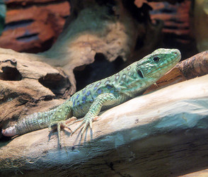 Similar image 659545