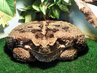 Similar image 659556