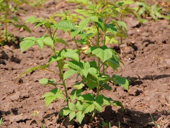 Similar image 659633