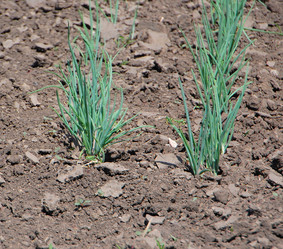 Similar image 659634