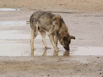 Similar image 659637