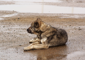 Similar image 659638