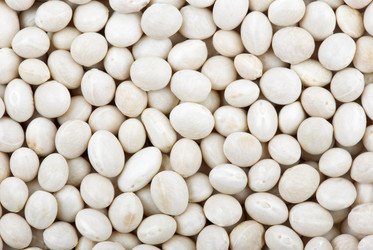 Similar image 659692