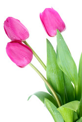 Similar image 659736