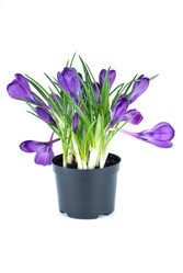 Similar image 659750