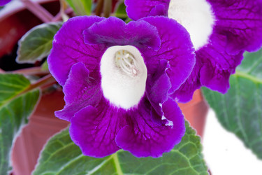 Similar image 659783