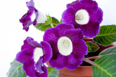 Similar image 659786