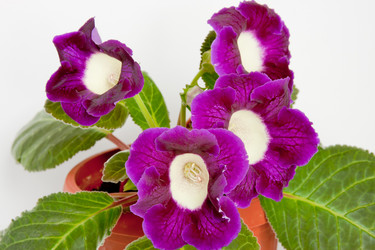 Similar image 659792