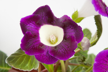 Similar image 659793