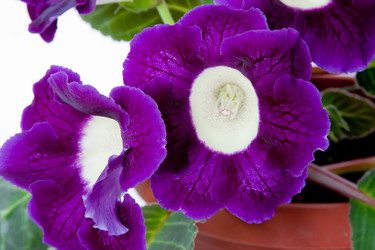 Similar image 659795