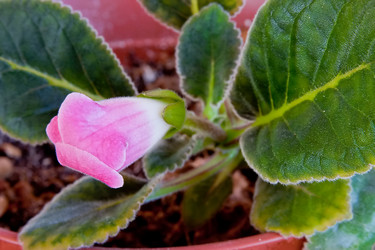 Similar image 659801