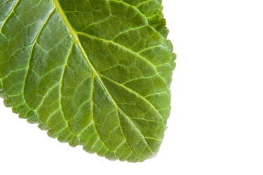 Similar image 659811