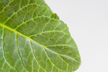 Similar image 659813