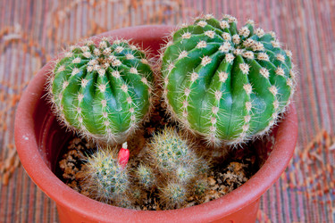 Similar image 659844