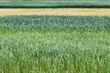 Similar image 659846