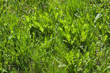 Similar image 659847