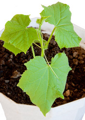 Similar image 659849