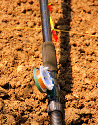 Similar image 659857