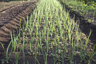 Similar image 659900