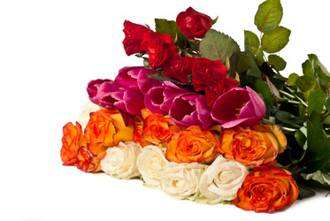 Similar image 659962