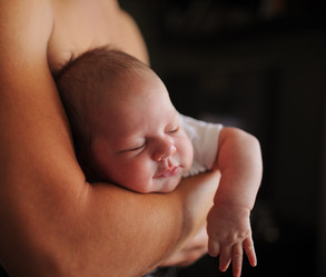 Similar image 660005