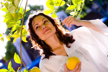 Similar image 660030