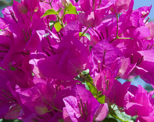 Similar image 660124