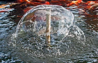 Similar image 660155