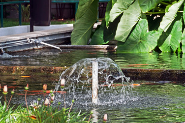 Similar image 660157