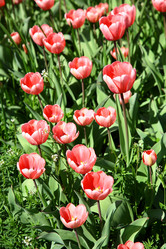 Similar image 660291