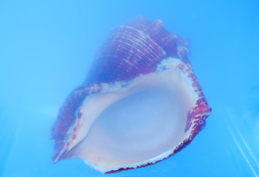 Similar image 660306