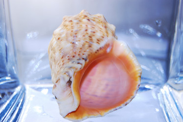 Similar image 660307