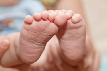 Similar image 660329