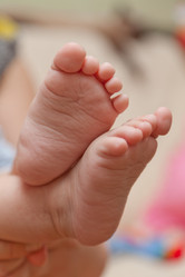 Similar image 660330