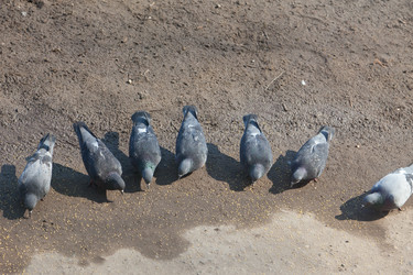 Similar image 660357