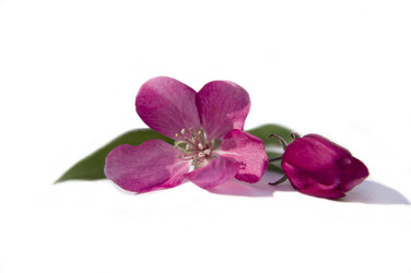 Similar image 660358