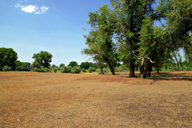 Similar image 660359