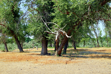 Similar image 660361