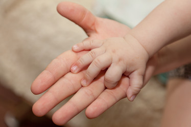 Similar image 660362