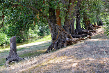 Similar image 660363