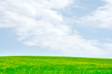 Similar image 660387