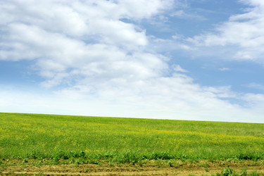 Similar image 660388