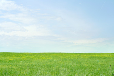 Similar image 660389